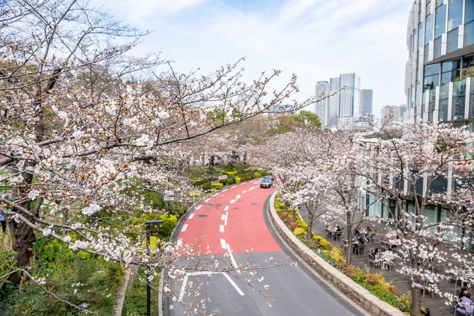 🌳 모리 씨 정원(모리시테이엔) 이미지 9